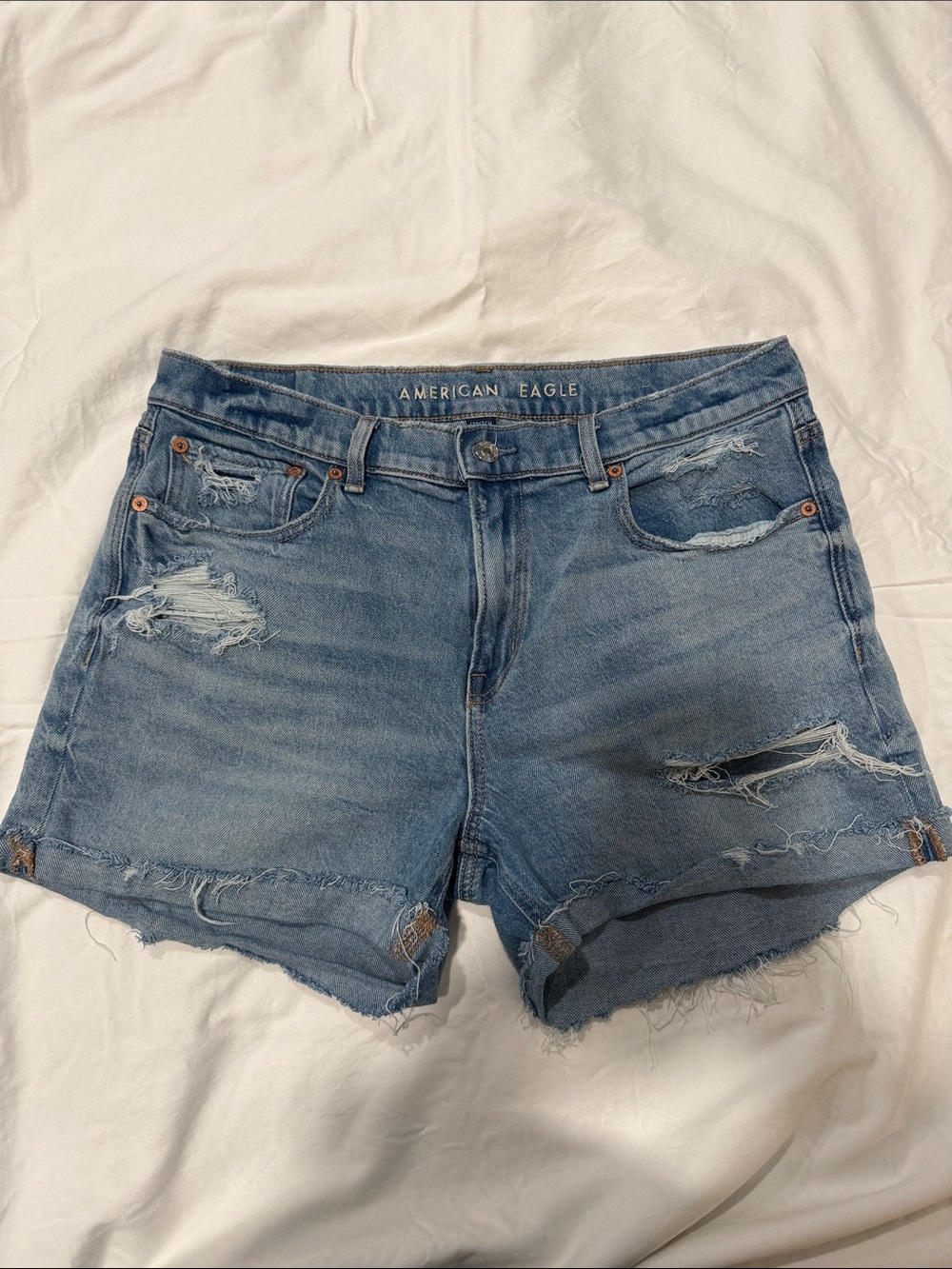 American Eagle Outfitters Light Blue Distressed Denim Shorts